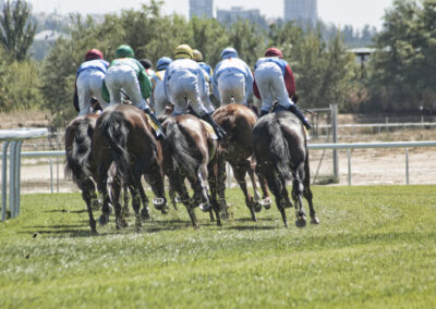 Carreras de caballos, en la Zarzuela, en Madrid