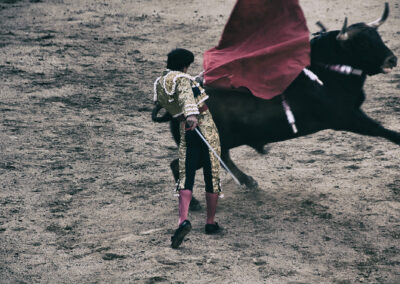 Toros en San Isidro
